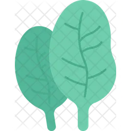 Spinach  Icon