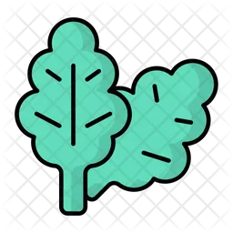 Spinach  Icon