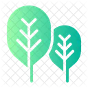 Spinach Vegan Vegetable Icon