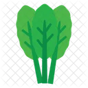 Spinach Leaf Vegetable Icon