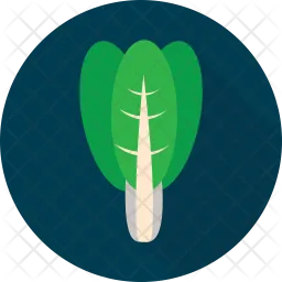 Spinach  Icon