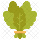 Spinach Leafy Greens Vegetables Icon
