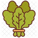 Spinach Leafy Greens Vegetables Icon