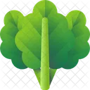 Spinach Food Vegetable Icon