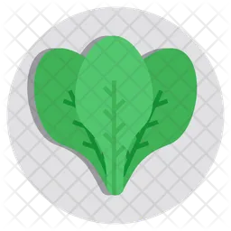 Spinach  Icon