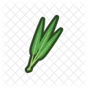 Spinach Food Vegetable Icon