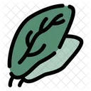 Spinach Freshness Healthy Eating Icon