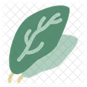 Spinach Freshness Healthy Eating Icon