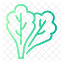 Spinach  Icon