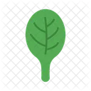 Spinach Leaf Spinach Food Icon
