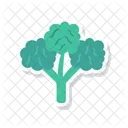 Leaf Vegetable Nature Icon