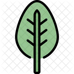 Spinach leaf  Icon