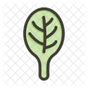 Spinach Food Leaf Icon