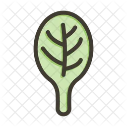 Spinach leaf  Icon