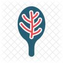 Spinach Leaf  Icon
