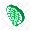 Spinach Leaves Protein Icon