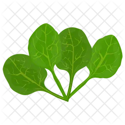 Spinach Leaves  Icon