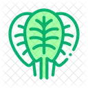 Spinach Leaves Protein Icon