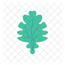 Spinacjh leaf  Icon