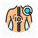 Spinal Cord Analysis Icon