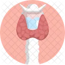 Human Anatomy Spinal Cord Body Organ Icon