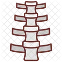 Spinal Cord Spinal Marrow Bone Marrow Icon