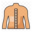 Backbone Vertebrae Spine Icon