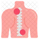 Spinal Injury Spinal Fracture Spinal Pain Icon