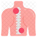 Spinal Injury Spinal Fracture Spinal Pain Icon