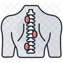Spinal injury  Icon