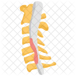 Spinal Stenosis  Icon