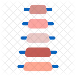 Spine  Icon
