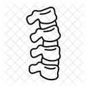 Spine Icon