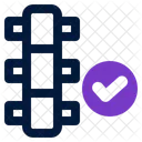 Spine Vertebra Alignment Icon