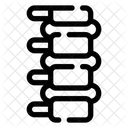 Spine Anatomy Back Icon