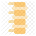 Spine Anatomy Back Icon