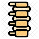 Spine Anatomy Back Icon