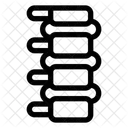 Spine Anatomy Back Icon
