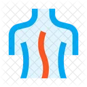 Spine Backbone Curvature Icon