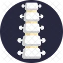 Spine  Icon