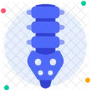 Spine  Icon