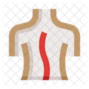 Spine Backbone Curvature Icon