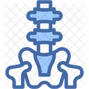 Spine Spine Card Biology Icon