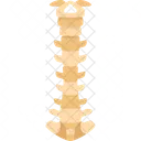 Spine Backbone Structure Icon