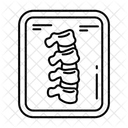 Spine Alignment Icon