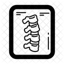 Spine Alignment Icon