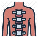 Spine Orthopedic Backbone Icon