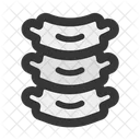 Spine Bone Skeleton Icon