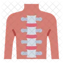 Spine Orthopedic Backbone Icon