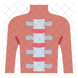 Spine  Icon